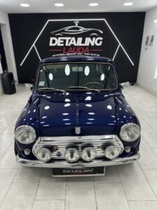 Mini (1)
