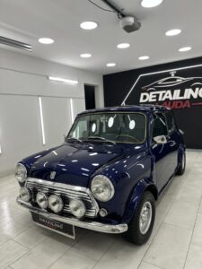 Mini (12)