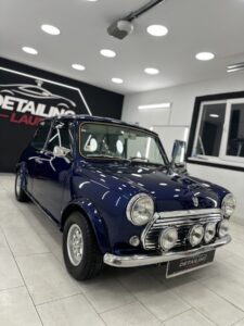 Mini (9)